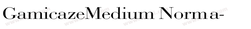 GamicazeMedium Norma字体转换